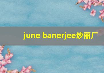 june banerjee纱丽厂